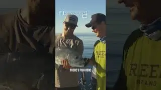Fishing in a feeding frenzy! - &lsquo;iFish&rsquo; on FishingTV