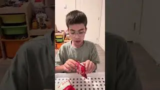 Orion or Lotte? Choco Pie Taste Test!