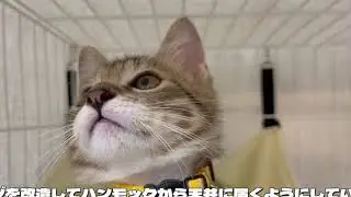ロキくんの部屋 202309 Vol 102