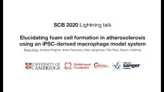 Imaz, Maria - Lightning talk (SCB2020)
