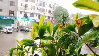 f8 markaz islamabad
