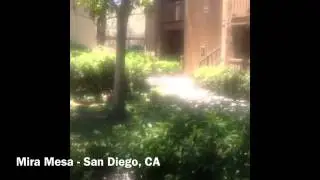 Mira Mesa Homes For Sale with great resort style living!! This Mira Mesa Home is a must see!