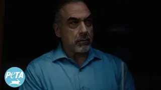 Here Kitty, Kitty
