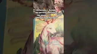 Christmas 🎄 humor : Amazon lists. Thanks 2 parents :) #viral #shortvideos #humor #christmas #music