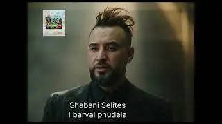 SHABANI SELITES-I barval phudela