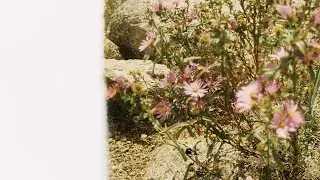 The moment for availability OR introversion is always ripe; embrace whichever is true now/now/now