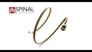 Spinal Elements: Karma&reg;   Metal Free  Cortical Fixation