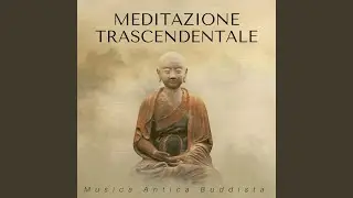 Musica per Calmare lo Spirito