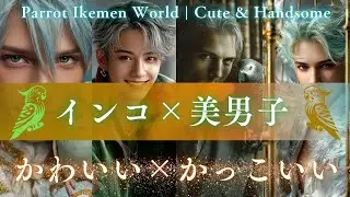 もしもインコがイケメンだったら…鳥イケメンコレクション Parrots as Handsome Men | Bird Ikemen Collection