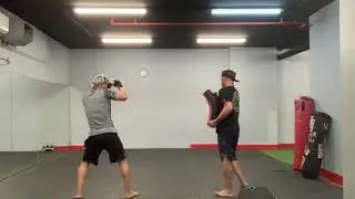 pushkick sidekick highlights training - #kickboxing #boxing #fitnessboxing #muaythai #morepractice