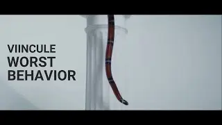 VIINCULE - Worst Behavior (Lyric Visualizer)