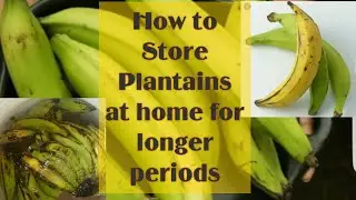Store and Preserve Plantains at Home for Long| Easiest way to keep Plantains Fresh