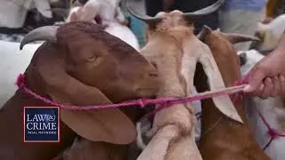 RITUAL GOAT SACRIFICE EXPOSED IN YOUNG THUG YSL RICO TRIAL