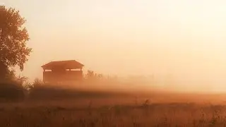 Crxz &ndash; Daydream (Slowed + Reverb)