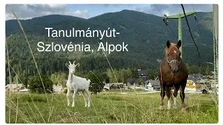 H&aacute;zt&aacute;ji &aacute;llattart&aacute;s &eacute;s kiskert kult&uacute;ra a szlov&eacute;n Alpokban