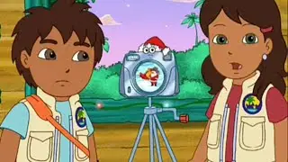 We Need to Help Santa! - Go, Diego Go! Compilation Video