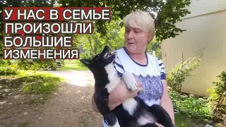 У НАС В СЕМЬЕ ПРОИЗОШЛИ БОЛЬШИЕ ИЗМЕНЕНИЯ