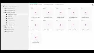 Download Erik Cagi &ndash; Incognito Profit System