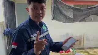 Demonstrasi SIKEPO: Monitoring Suhu, Kelembaban, dan Amonia Kandang Ayam Secara Real-time