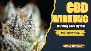 CBD Wirkung erkl&auml;rt! Alles &uuml;ber Cannabidiol, Cannabinoide & Ratio, wie wirkt CBD?