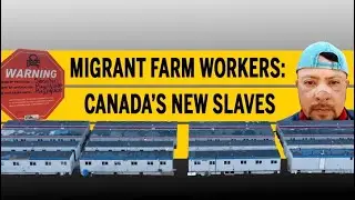 Migrant farm workers: Canada&rsquo;s new slaves