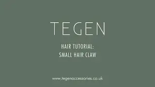 Quick How To: Small Hair Claw in Opal | Tegen Accessories