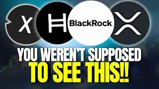 BlackRock&rsquo;s Hidden Bet on Utility Coins &ndash; XRP, HBAR, and XDC Are Not What You Think!