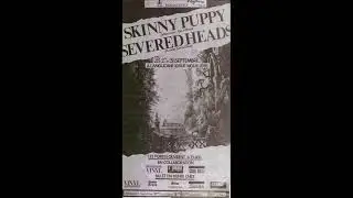 severed heads - 9/27/86 - l'anglicane quebec city