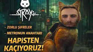 Prison Escape Begins! 🔐 | Stray