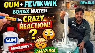 Dangerous or Amazing? Gum and Fevikwik  Experiment #experimentvideo