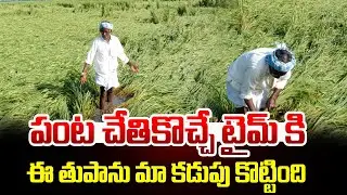 Montha Cyclone Effect on Farmers in Andhra Pradesh (2025) | Latest Updates | JAI SWARAJYA TV