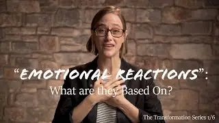 Our Emotional Reactions: What are they based on? - Chapter 1 - Transformation Series
