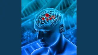 Neuro Calm Field