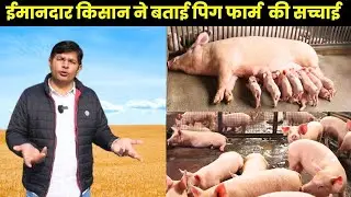 हमारे साथ मिलकर शुरू करे पिग फार्मिंग II Pig Farming II Pig Farm Business II Pig