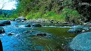 RELAXING RIVER SOUNDS FOR SLEEPING &ndash; GENTLE FLOW IN CALM FOREST STREAM TO IMPROVE REST #15