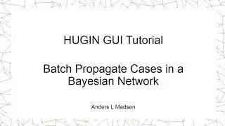 Batch Propagate Cases in a Bayesian Network
