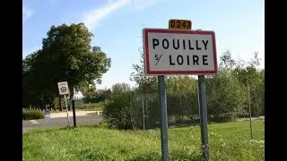 Wine tasting: AOC Pouilly-sur-Loire / Chasselas