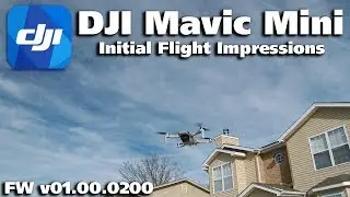 DJI Mavic Mini First Flight Impressions
