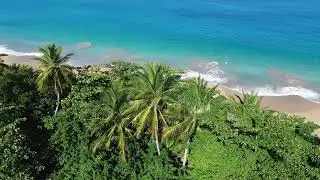 Plage de la Perle, Guadeloupe, 2026 [4k]