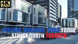 4k VIRTUAL WALKING TOUR YONGE STREET NORTH IN TORONTO