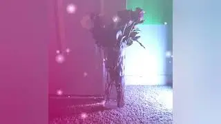 Kaeleb's Studio - roses (Jersey Club) (Visualizer)