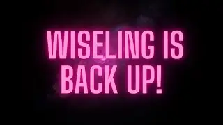 Apparently, Wiseling is back up. My business partner Mike breaks it down for us.