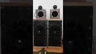 Focal Utopia Be Midrange 3W2