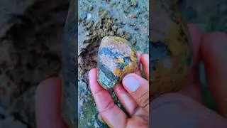 Unbelievable Beauty of Hidden Stone Finding #stones #treasurehunt #crystal #rock