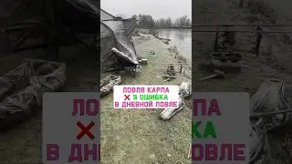 НЕ ДЕЛАЙ ЭТУ ОШИБКУ когда ловишь карпа на дневной рыбалке. Карпфишинг 2025