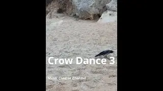 Crow Dance 3