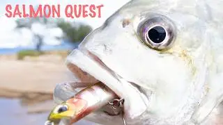 Cairns Land Based Lure Fishing
