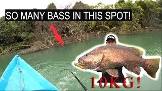 Black Bass Fishing (Final Part) | NON STOP ACTION!!