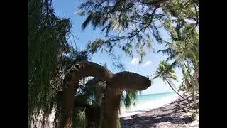 PUNTA CANA WILD BEACH.