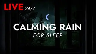 🔴 Rain Sounds for Sleeping with an Open Window Experience  - 24/7 Livestream | Deep Sleep Sounds